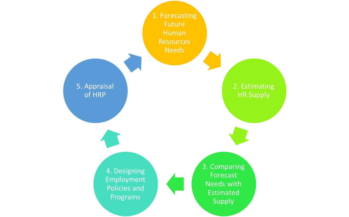 Stages in HRP Process